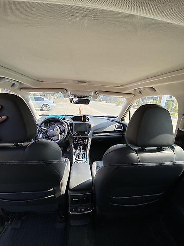 Subaru: Subaru Forester: 2019 г., Кроссовер — 13