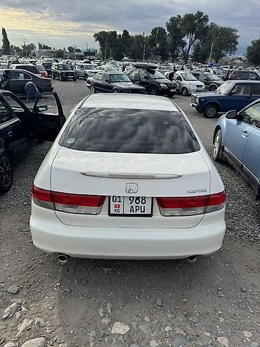 туманик: Honda Inspire: 2004 г., 3 л, Автомат, Бензин, Седан — 6