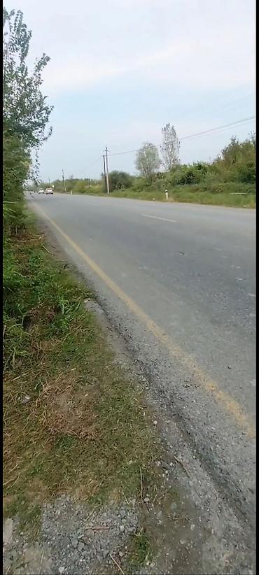 əhmədli ev alqi satqisi: 650 sot, Kənd təsərrüfatı, Maklerlər narahat etməsin, Kupça (Çıxarış) — 1