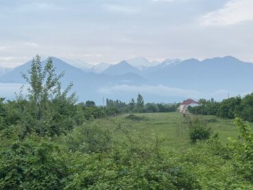 1 sot torpaq satilir: 87 sot, Tikinti, Mülkiyyətçi, Kupça (Çıxarış)