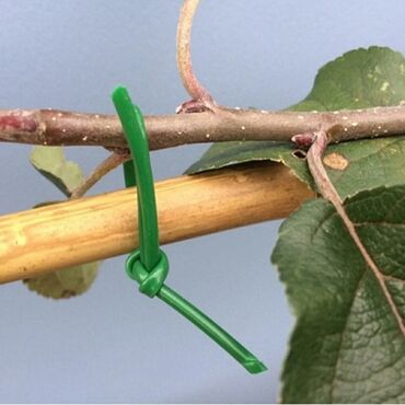 Bağ və bostan üçün digər məhsullar: ✅ Aqrotel, ✅ Kembrik ✅ Rezin İp İstifadə: Ağac Tingləri, Meyvə — 10