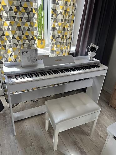 Пианино: Полноактавное акустическое пианино, цветной понятный дисплей, вы — 1