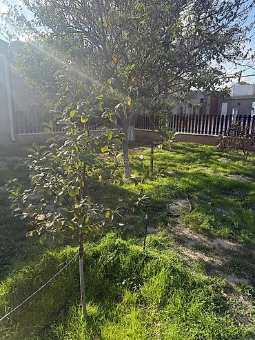 nabran ev satilir: Bakı, Mərdəkan, 800 kv. m, 5 otaqlı, Kanalizasiya, Kombi, Qaz — 3
