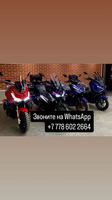 z max скутер: Скутер Tank, 150 куб. см, Бензин, Новый, В рассрочку