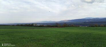 Torpaq sahələrinin satışı: Tikinti — 36