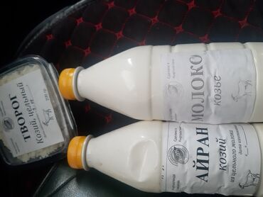 молочные продукты: Козье молоко с доставкой по городу 1 литр молока 120 Айран 130 писать/