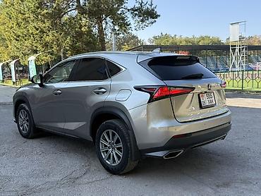 Продажа авто: Lexus NX: 2018 г., 2 л, Автомат, Бензин, Кроссовер — 7