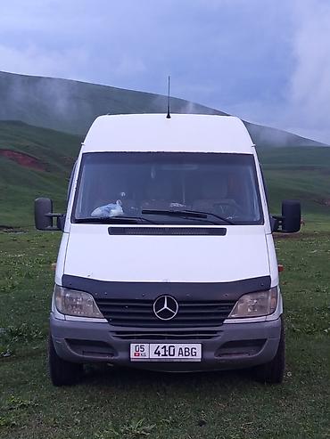 w210 e320: Пункт назначения: Все направления, Количество мест: 18, Лицензия №: 00В005382 — 6