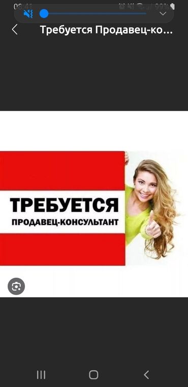 работа продавцом мороженого: Требуется реализатор мороженого на постоянную работу девушки от 18лет