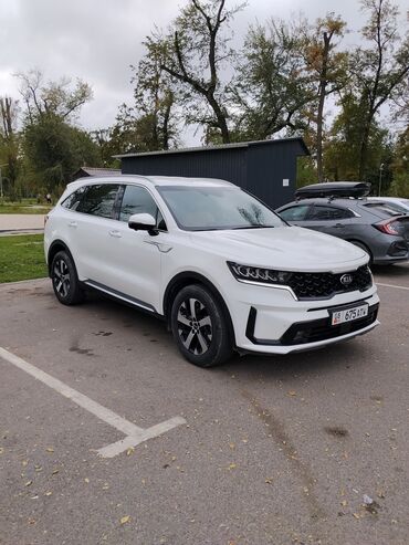 где купить машину дешевле: Kia Sorento: 2021 г., 2.2 л, Робот, Дизель, Кроссовер