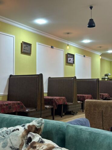 прокат стол стул душанбе: 10 eded kafe restoran divan her biri 55 Azn. Her biri bazalidir ve