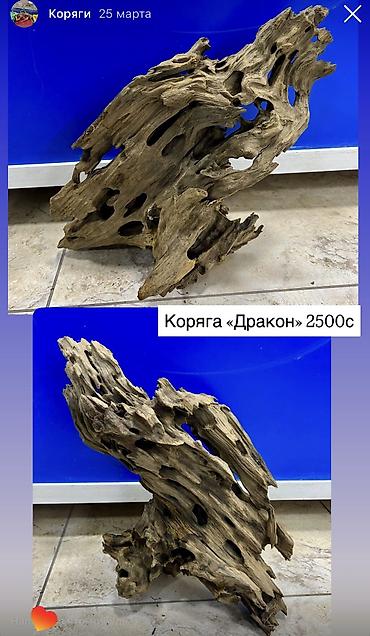 Аквариумы: Рыбки | Аквариумы | Оборудование | Аксессуары | Растения Богатый опыт — 30