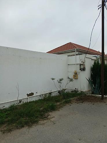 sut satisi: Şüvəlanda McDonalds-ın yanından dənizə gedən yolun sağ tərəfində — 7