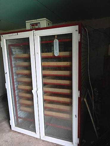inkubator cucesi: Azərbaycan, Tam avtomat, Bütün növ quşlar üçün — 4