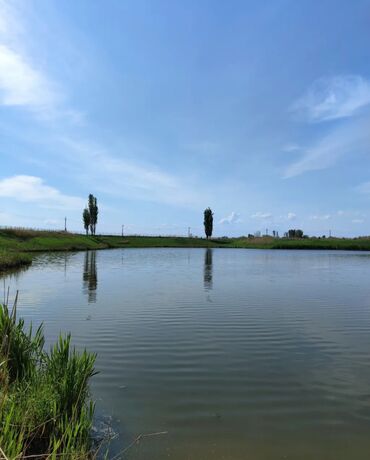 Продажа участков: 600 соток, Для бизнеса, Красная книга — 25