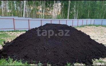 Ağaclar: Hər vaxtınız xeyir olsun dəyərli müştərilərimiz. Bizə vaxt ayırdığınız — 10