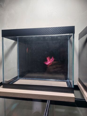 Akvariumlar: Şüşə akvarium – dekorativ fonlu modellər ölçü 30×25×15 Məhsul təsviri — 14