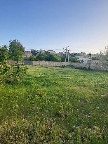 Torpaq sahələrinin satışı: Tikinti — 3