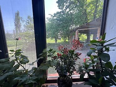Продажа коттеджей и домов: Дом с кадастровым планом - Площадь по документам: 15 200 кв - Форма — 12