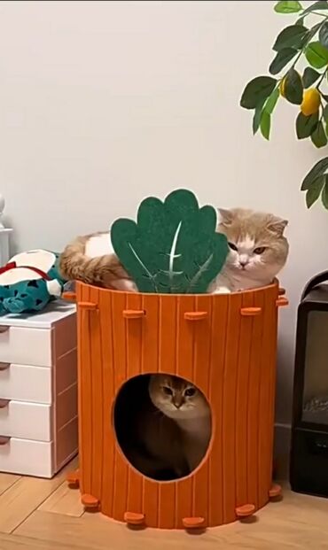 Зоотовары: Домик для котика. Материал типо войлока. Лёгкий, удобный. Коты не — 8