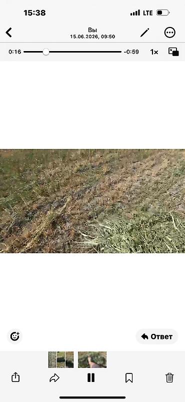Корма для с/х животных: Сено в тюках - Тип: луговое сено, прессованные прямоугольные тюки. - — 5