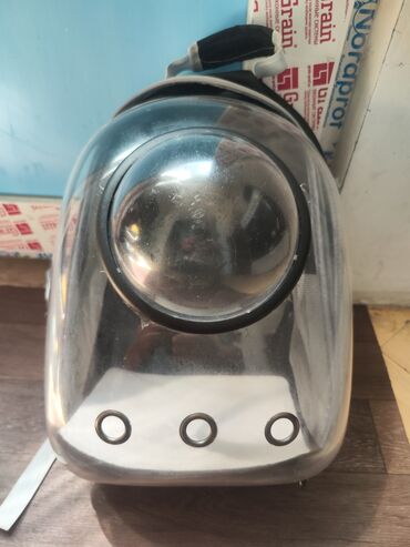 коты бишкек: Эркек