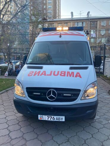 Mercedes-Benz: Mercedes-Benz Спринтер: 2007 г., Минивэн