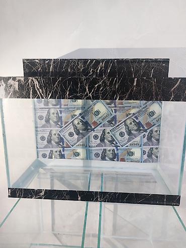 vakum su pompası: Şüşə akvarium – dekorativ “dollar” fonlu - Material: qalın temperli — 1