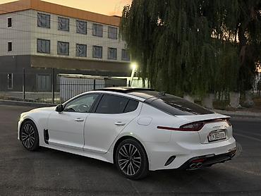 rexston khan: Kia Stinger: 2018 г., 2 л, Автомат, Бензин, Фастбек — 6