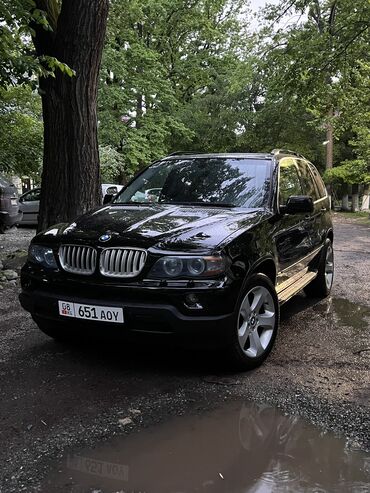 BMW: BMW X5: 2004 г., 4.4 л, Автомат, Бензин, Кроссовер