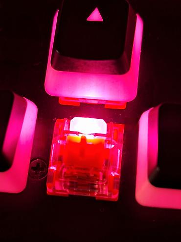 logitech superlight: Клавиатура, HyperX, Механическая, Проводное подключение, Размер: 100% — 3