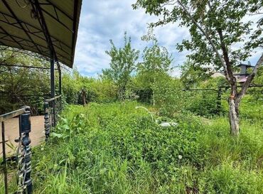 Продажа домов: Дача, 50 м², 3 комнаты, Евроремонт — 7