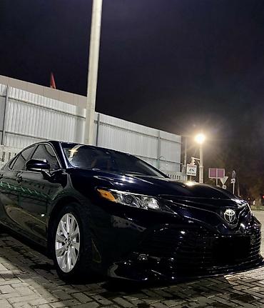 купить машину тойота: Toyota Camry: 2019 г., 2.5 л, Автомат, Бензин, Седан — 1