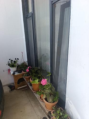 Həyət evləri və villaların satışı: 4 otaqlı, 68 kv. m, Kredit yoxdur, Yeni təmirli -da lalafo.az — 24 Həyət evləri və villaların satışı: 4 otaqlı, 68 kv. m, Kredit yoxdur, Yeni təmirli — 24