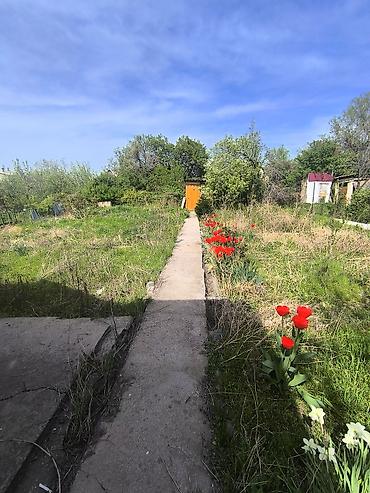 Продажа дачи: 🏡 ДАЧА САТЫЛАТ — ШААРГА 25 КМ! 💰 Баасы: 40 000$ 📐 Жер аянты: 4,5 сотых — 13