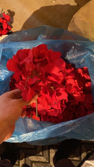 Dekorlar və bəzəklər: 4 dekor 1 -10 a kimi rəqəmlər Görduyunuz hər şey bir qiymətə qeyd — 9