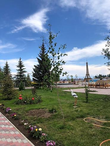 ысык кол: Коттедж, Париж, Чок-Тал, 7 орун — 3