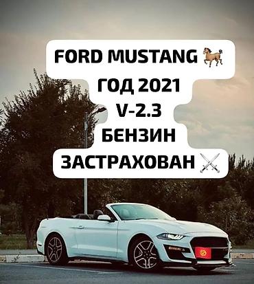 Частная аренда авто: Прокат кабриолетов – почувствуйте свободу на дороге! ☀🏎️💨 Мечтали — 3