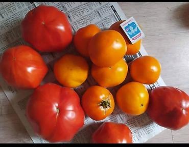 Томат: Семена томата «Гигант мясистый» (розово‑красный бифтомат, салатного — 4