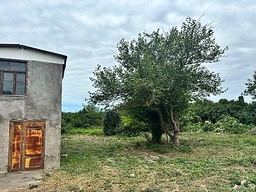 Torpaq sahələrinin satışı: 24 sot — 11