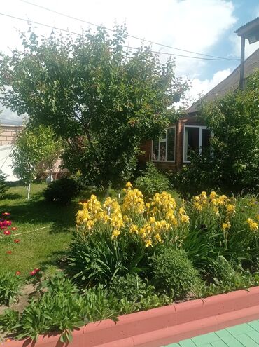 Продажа домов: Дом, 500 м², 10 комнат, Собственник, Евроремонт — 7