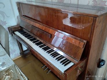 Piano, Belarus, Akustik, İşlənmiş