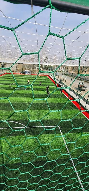 Другая сетка: Другая сетка — 1