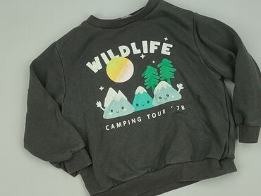 Sweatshirt, H&M, 3-4 years, 98-104 cm, condition - Very good