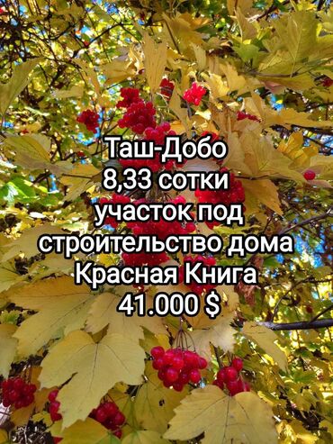 купить участок: 8 соток, Курулуш, Кызыл китеп