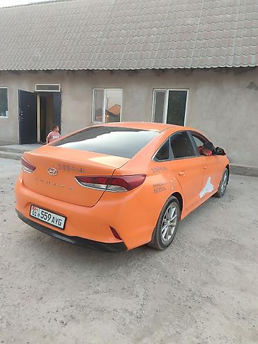 руловой: Hyundai Sonata: 2019 г., 2 л, Автомат, Газ, Седан — 2