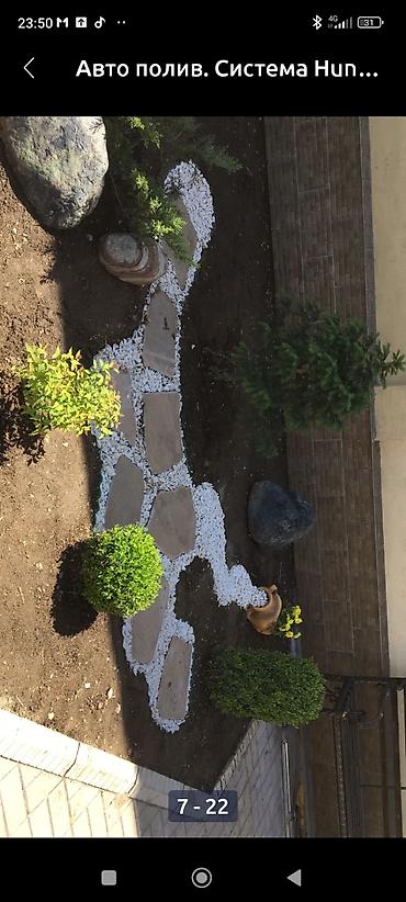 Газон: Сеем Газон и Автополив at lalafo.kg — 13 Газон: Сеем Газон и Автополив — 13