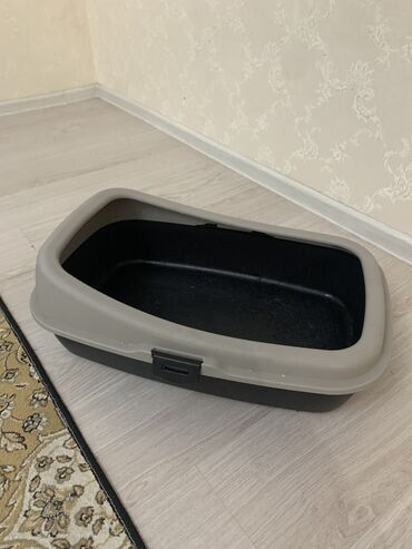 Үй жаныбарлары үчүн товарлар: Продаю лоток для кошек большой lalafo.kg да Үй жаныбарлары үчүн товарлар: Продаю лоток для кошек большой