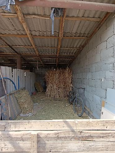 Продажа коттеджей и домов: Продается дом, 5 комнат, 49 СОТОК 📌В селе Беловодское продается — 12