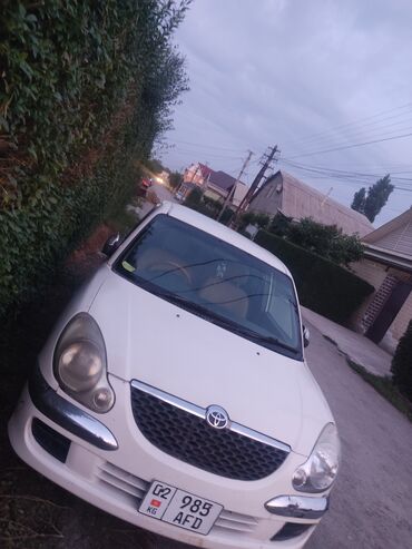 runx alex: Toyota Platz: 2002 г., 1 л, Автомат, Бензин, Хетчбек